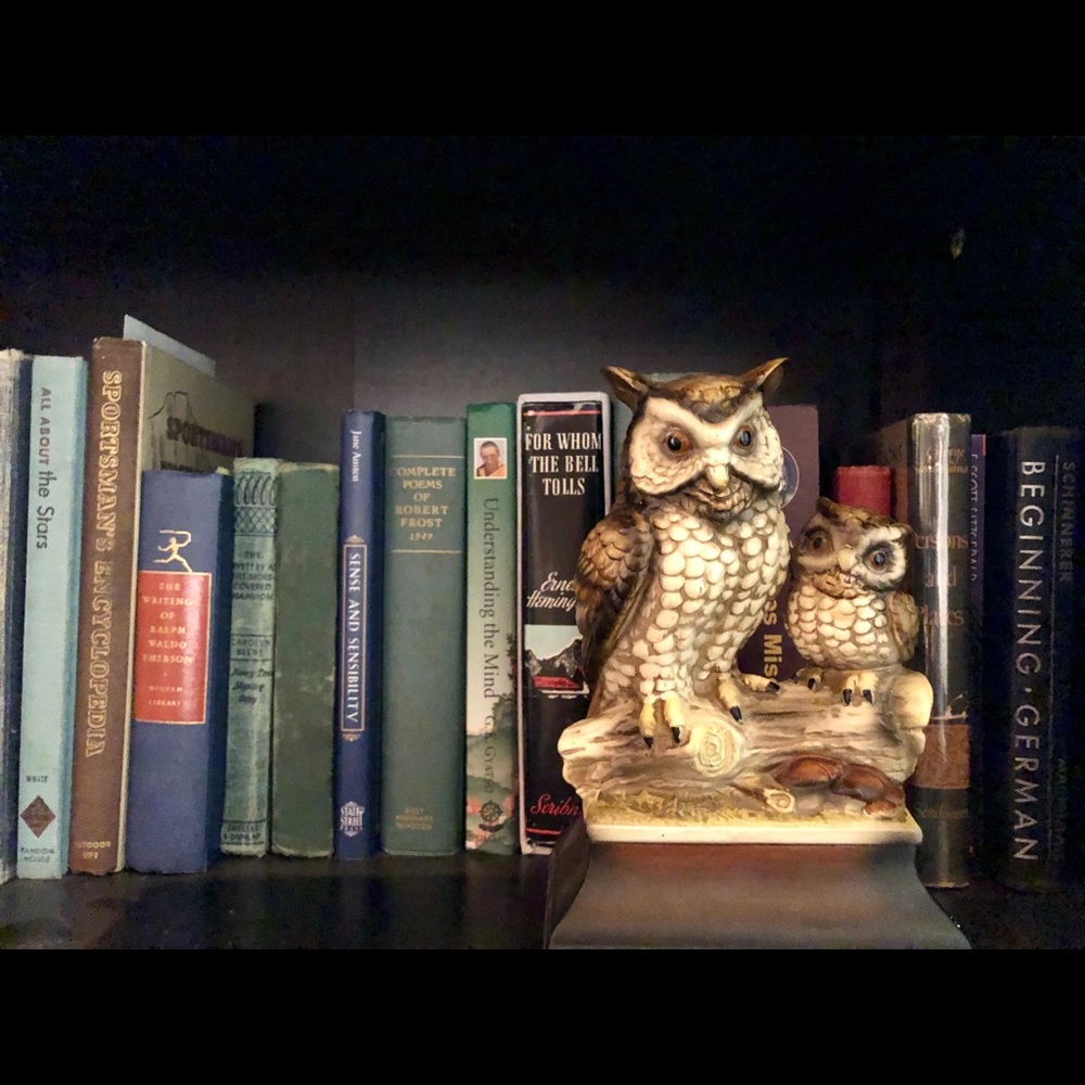 Adorable Owls Retro/Kitschy glass figurine